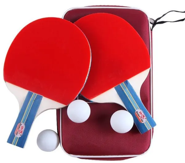 Double Fish 236A 2* Tischtennisset