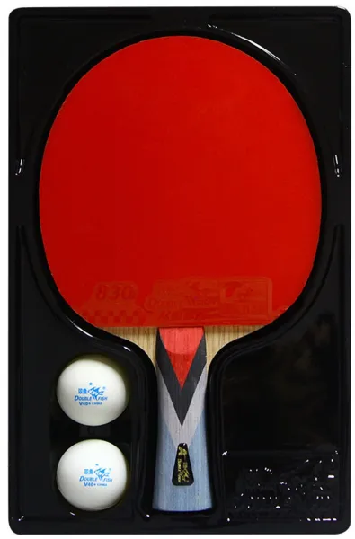 Double Fish 4A+ Tischtennisschläger